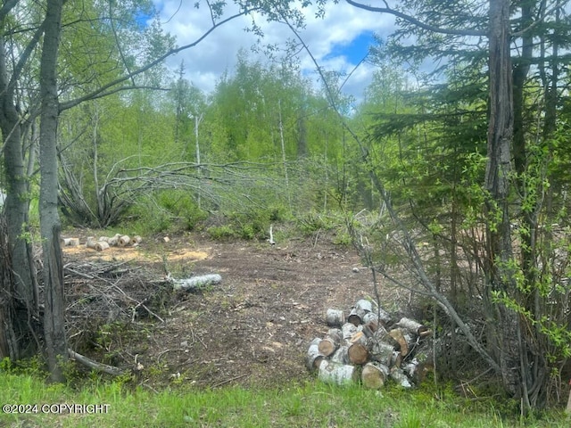 Listing photo 2 for L7 Erika Dr, Big Lake AK 99654