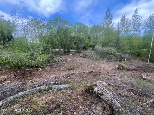 Listing photo 3 for L7 Erika Dr, Big Lake AK 99654