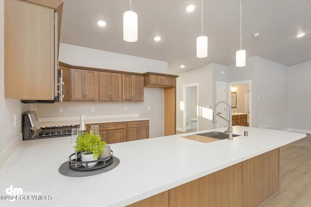 kitchen with pendant lighting, light wood-type flooring, appliances with stainless steel finishes, and sink