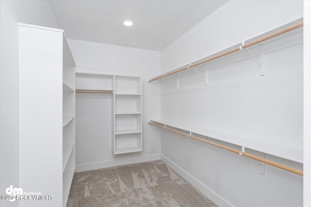 spacious closet with light carpet