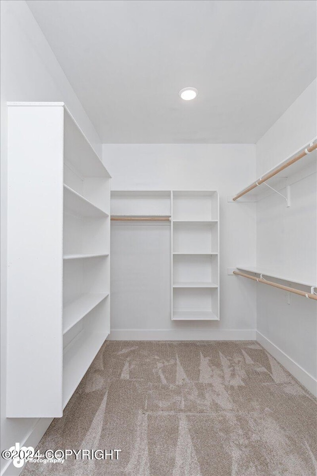 walk in closet with light carpet