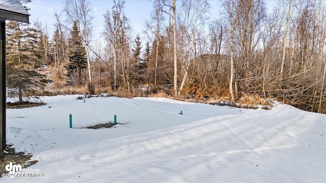 view of yard layered in snow