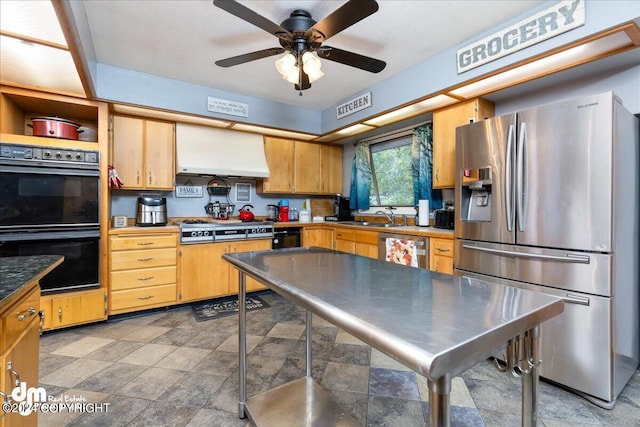 kitchen featuring stainless steel appliances, ventilation hood, ceiling fan, and sink