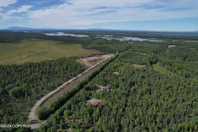 birds eye view of property with a water and mountain view