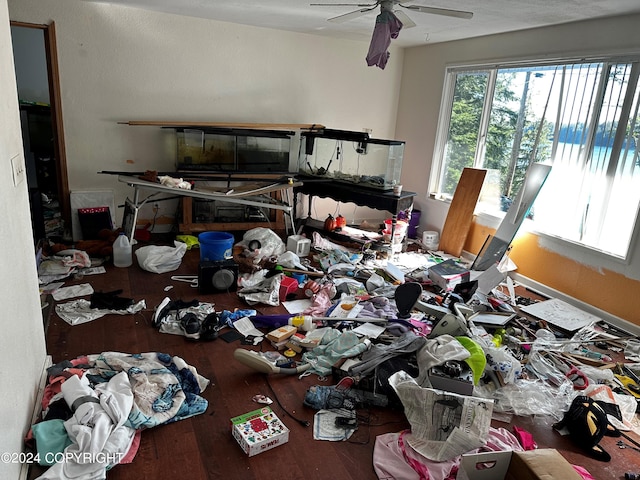 miscellaneous room with hardwood / wood-style flooring and ceiling fan