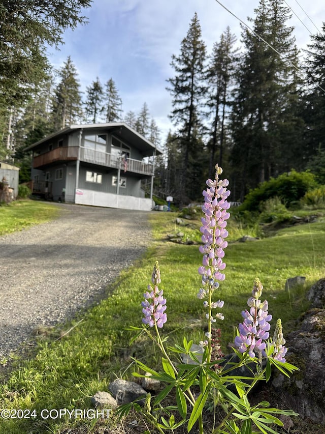 view of front of home featuring a front yard