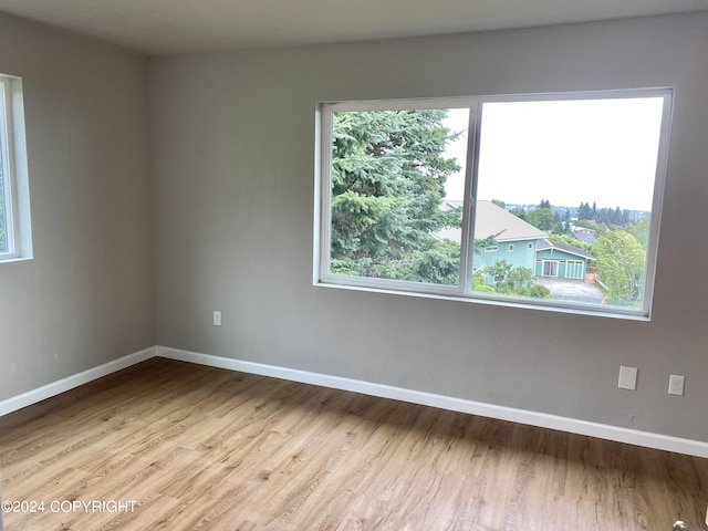 unfurnished room with light wood-type flooring