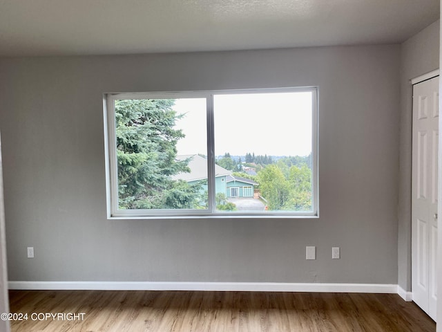 empty room featuring hardwood / wood-style flooring