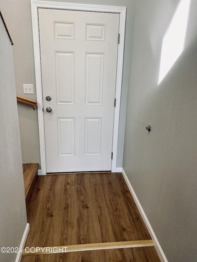 entryway with wood-type flooring