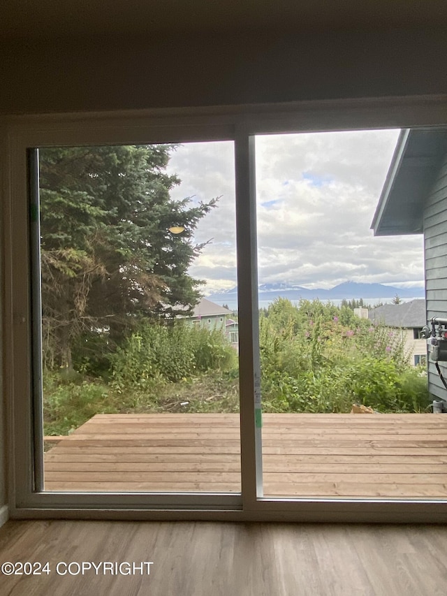 doorway to outside with hardwood / wood-style floors