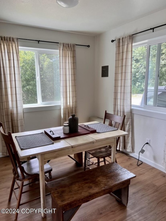 dining room featuring light hardwood / wood-style floors