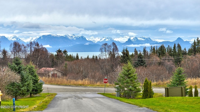 view of road featuring a mountain view