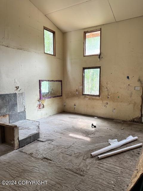 miscellaneous room with vaulted ceiling and plenty of natural light