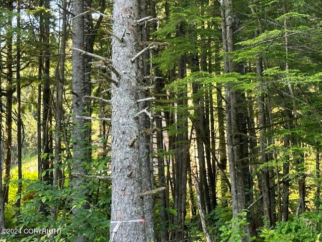 L16 Evergreen, Wrangell AK, 99929 land for sale