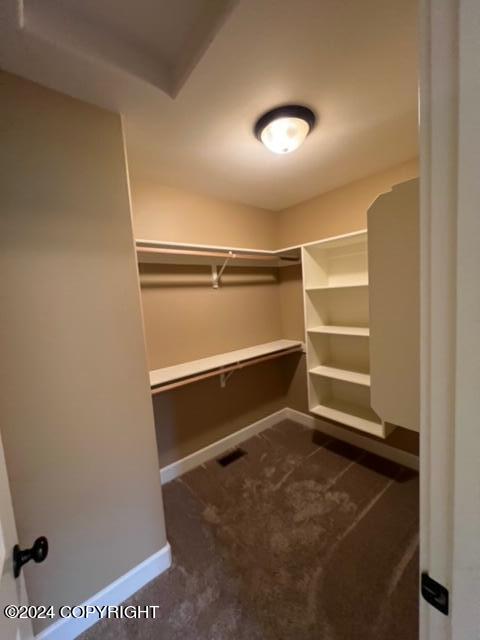 walk in closet with carpet