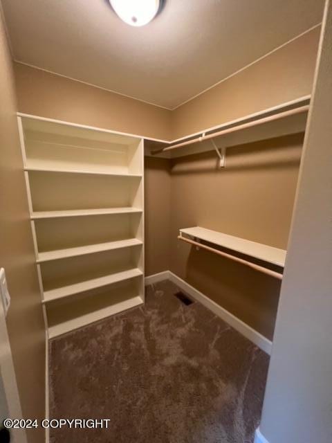 walk in closet with carpet floors