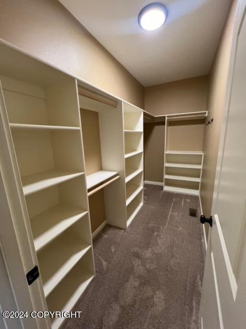 walk in closet featuring dark carpet