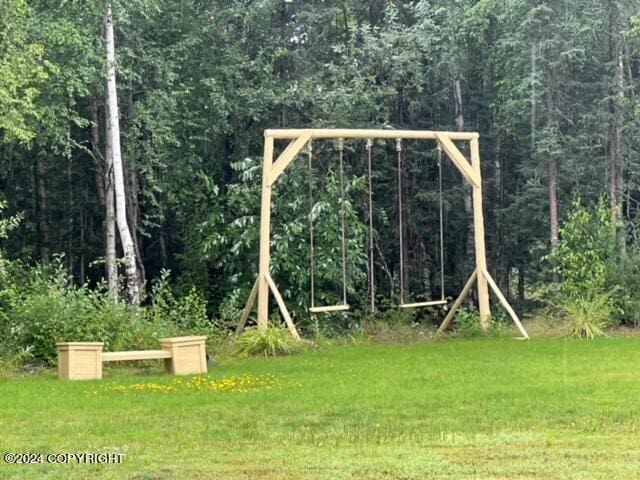 view of jungle gym