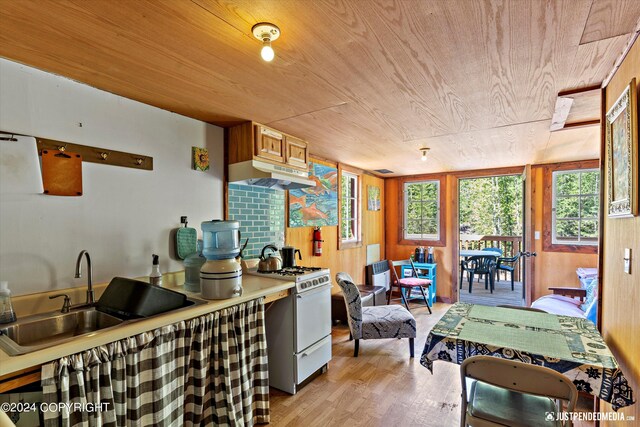 kitchen featuring a wealth of natural light, white gas range oven, light wood-type flooring, and sink