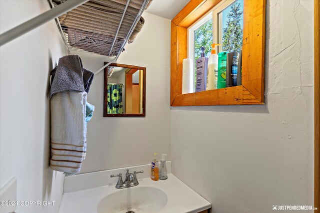 bathroom with sink