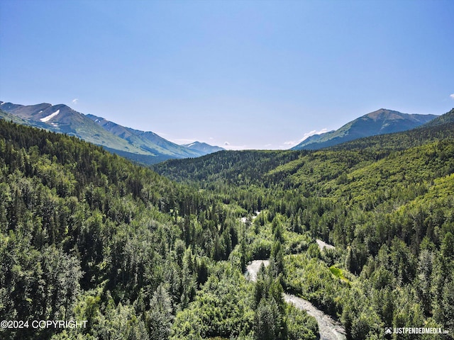 view of mountain feature