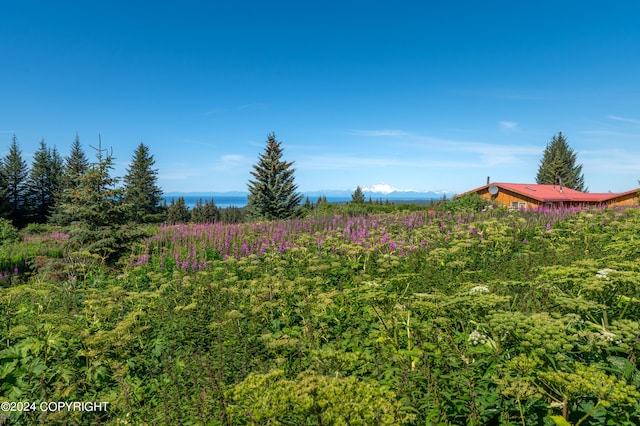 view of yard featuring a rural view