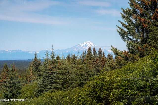 property view of mountains