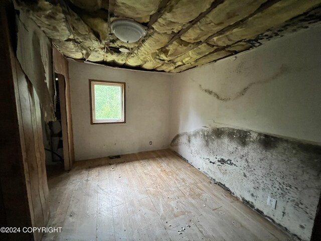 unfurnished room with light wood-type flooring