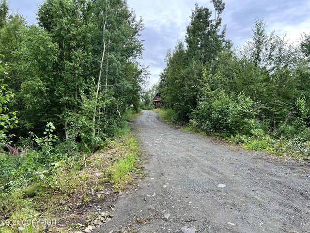 view of street featuring dirt driveway