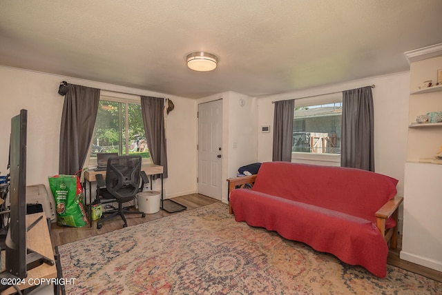 living room with hardwood / wood-style flooring