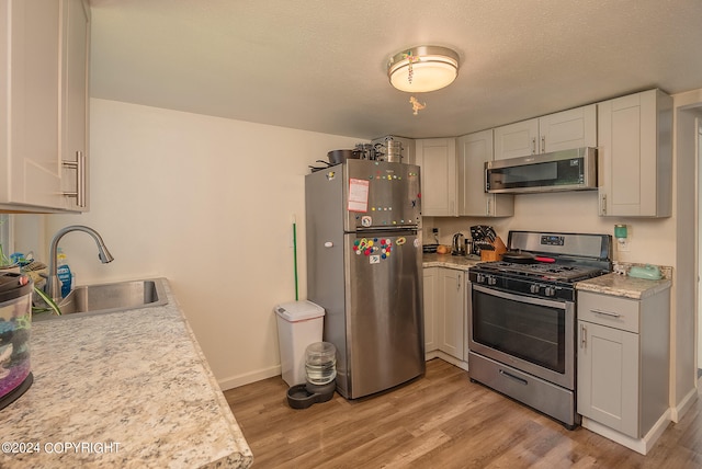 kitchen with sink, light hardwood / wood-style floors, and stainless steel appliances