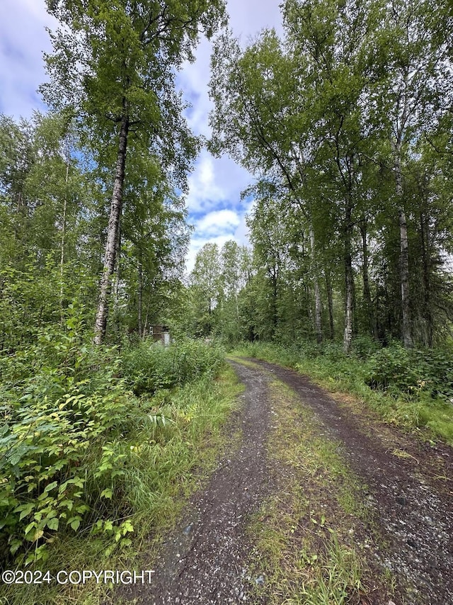 view of road