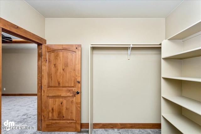 walk in closet with light colored carpet