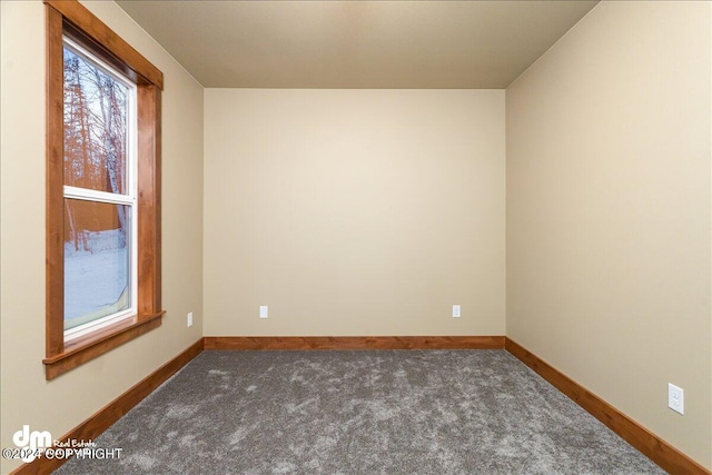 empty room featuring carpet flooring