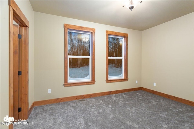 unfurnished room with carpet