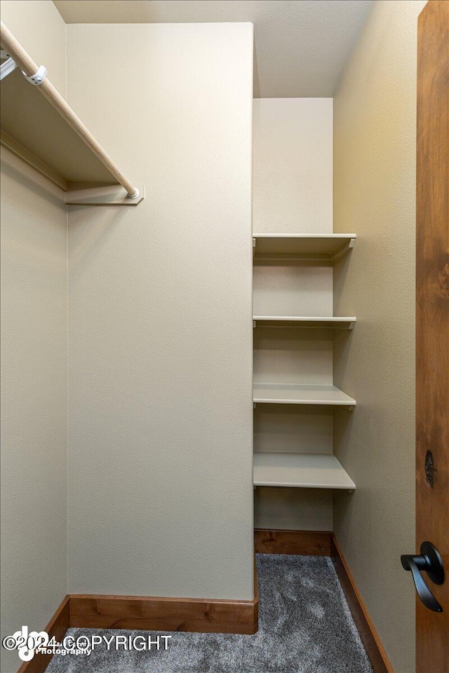 spacious closet featuring carpet flooring