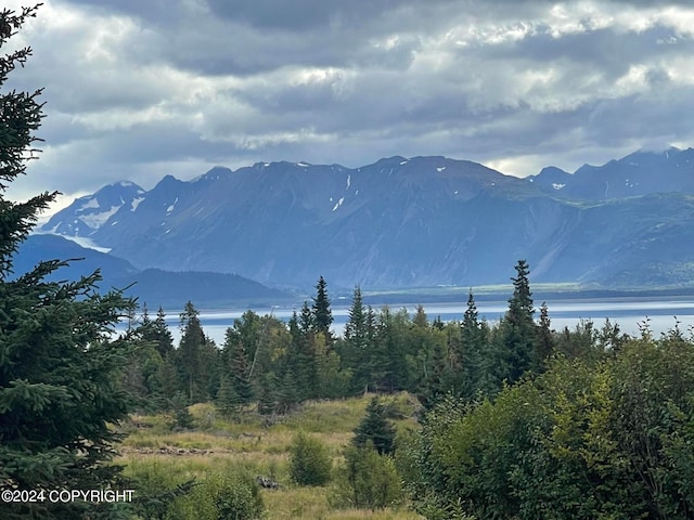 54490 Rolling Meadows Rd, Homer AK, 99603 land for sale