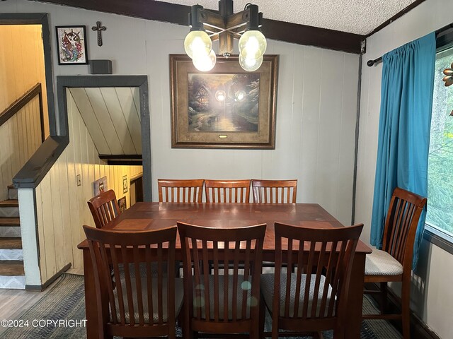 dining room with vaulted ceiling, a textured ceiling, and a healthy amount of sunlight