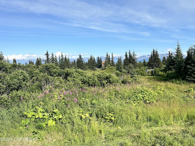 view of local wilderness