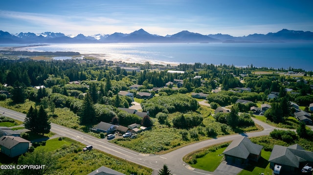 3884 Forest Glen Dr, Homer AK, 99603 land for sale