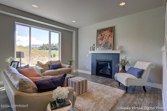 living room with a fireplace and hardwood / wood-style floors