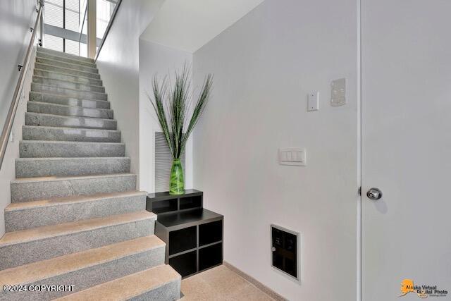 stairway featuring carpet flooring