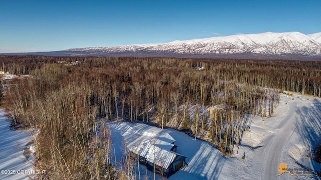 snowy aerial view featuring a mountain view