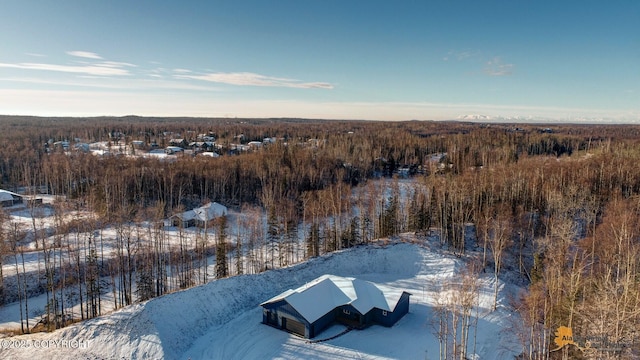 view of snowy aerial view