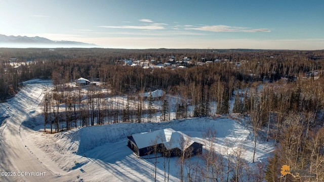 snowy aerial view with a mountain view