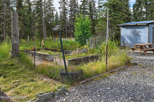 view of yard featuring a shed