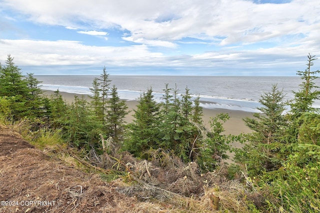 water view featuring a view of the beach