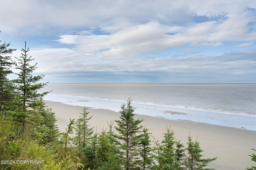 view of water feature with a beach view