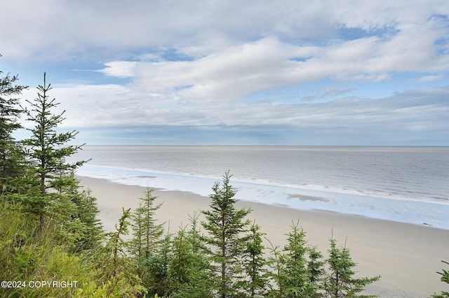 view of water feature with a beach view