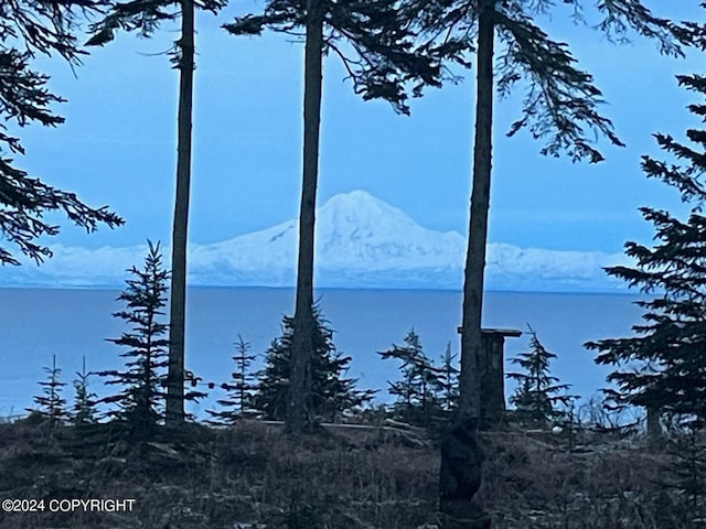 property view of water with a mountain view